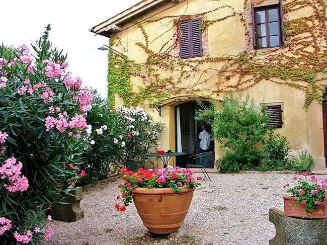 Villa Il Pozzo Certaldo Exteriér fotografie